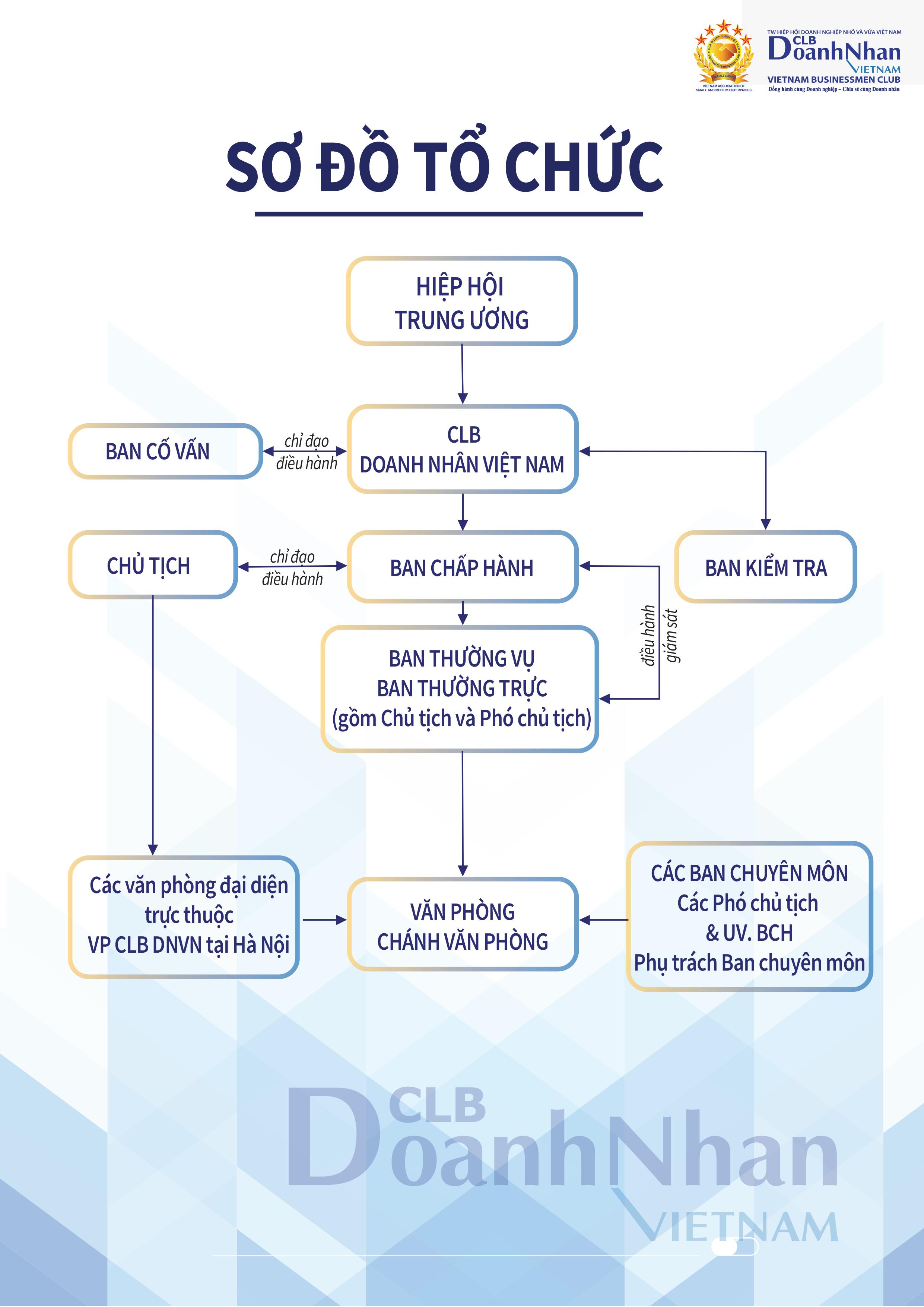 Sơ đồ tổ chức của CLB Doanh nhân Việt Nam