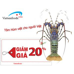 Tôm hùm rớt giá chưa từng thấy, 150.000 đồng/con