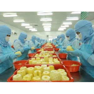 Công ty Cổ Phần Rau Quả Thực Phẩm An Giang (ANTESCO)