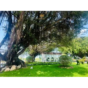 MerPerle Núi Sam Resort