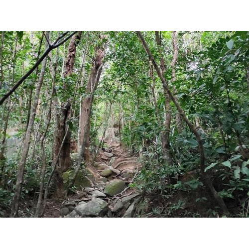 Đỉnh Ma Thiên Lãnh Hòn Sơn: Vẻ đẹp Hùng Vĩ của Đặc khu Kiên Hải