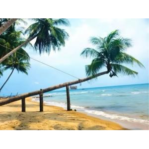 Bãi Tắm Bãi Bàng Hòn Sơn: Vẻ Đẹp Hoang Sơ - Biển Xanh Trong Như Ngọc