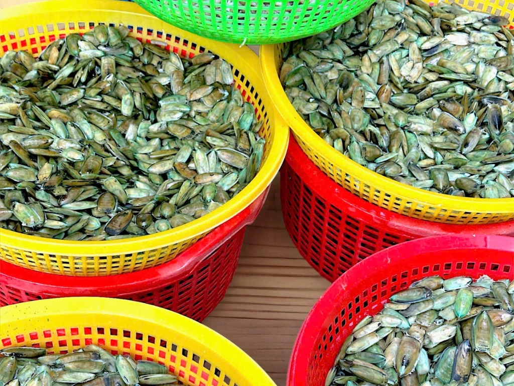 Quy trình sản xuất