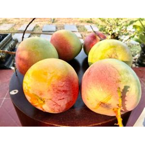 An Nhiên Homestay Hà Tiên