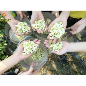 Công Ty TNHH Trà Và Cà Phê Lâm Chấn Âu