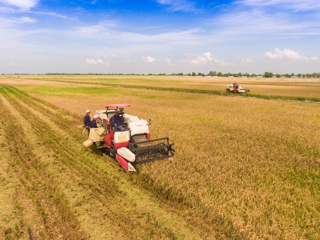 Trung An – “cánh chim đầu đàn” và sứ mệnh phát triển nông nghiệp bền vững