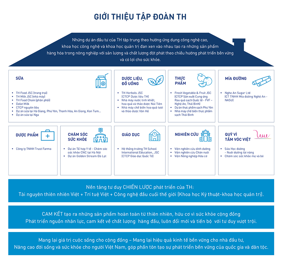 Cấu trúc tập đoàn