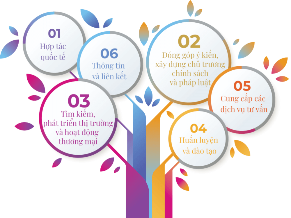 Các hoạt động chính