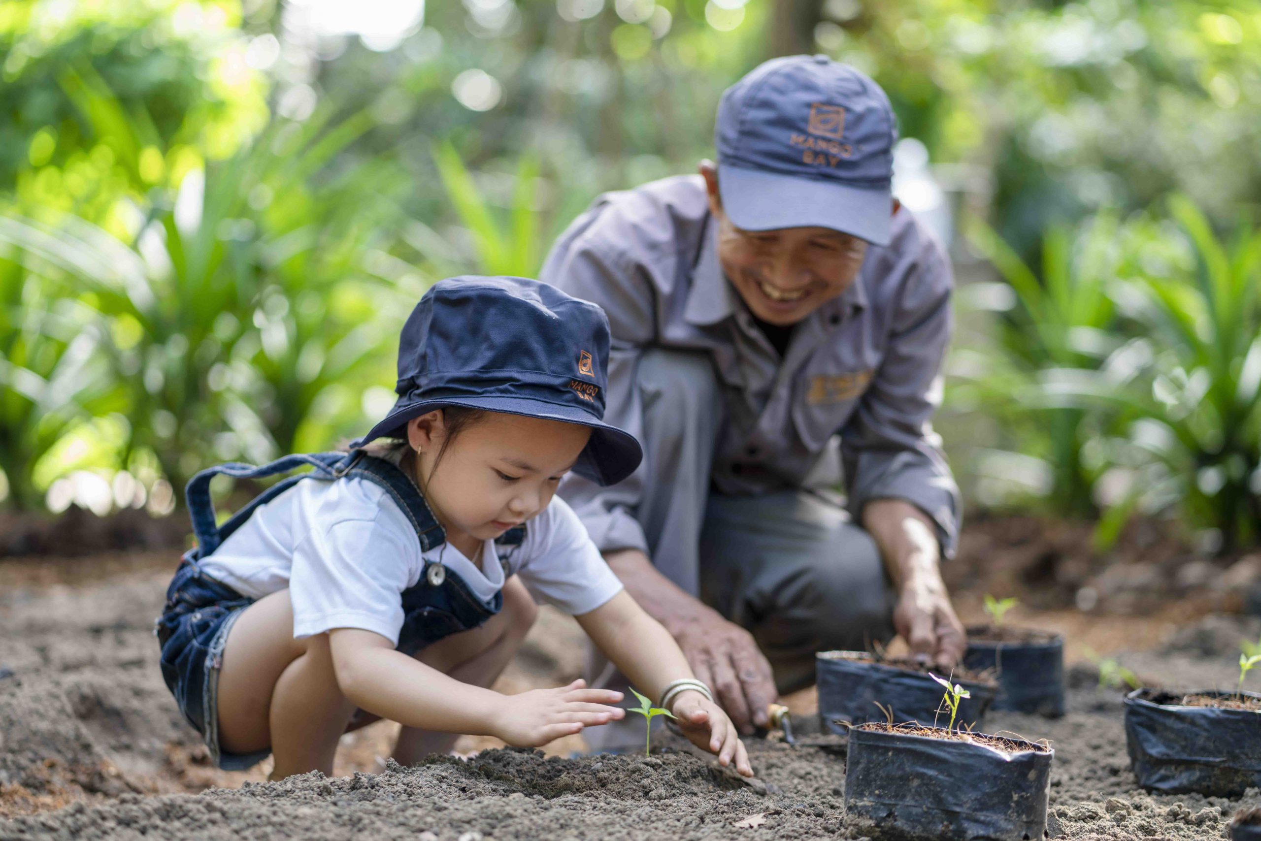 Các hoạt động khác