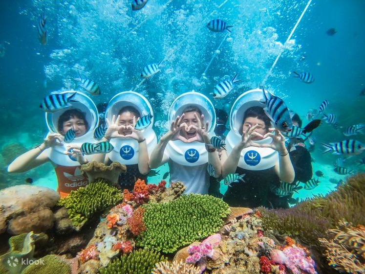 Vé đi bộ dưới biển tại Du Thuyền Nautilus Namaste + Xe + Cano đưa đón 2 chiều