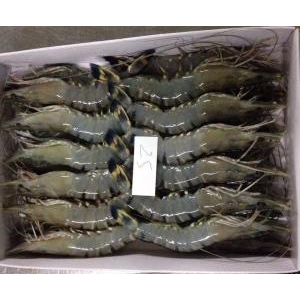 Công Ty Cổ Phần Thủy Sản Tâm Phương Nam