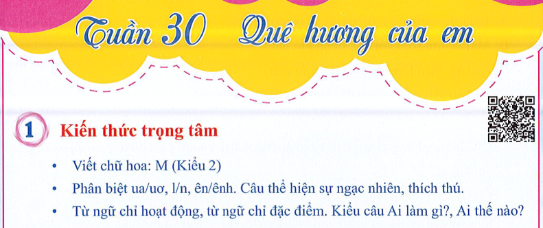 Ôn tập Tuần 30