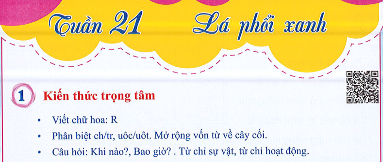 Ôn tập Tuần 21