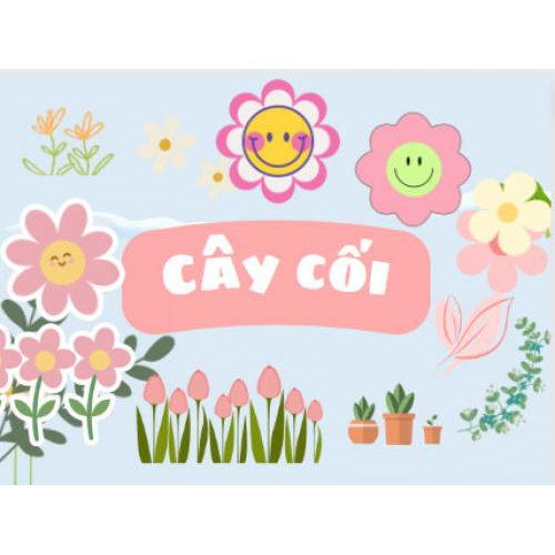 Bài 4: Cây cối