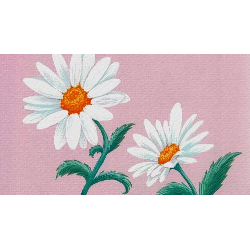 Sự tích Bông hoa cúc trắng - Trần Thị Thùy Dương