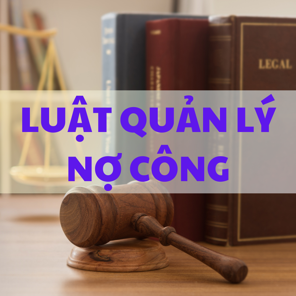 Luật Quản Lý Nợ Công Năm 2017, số 20/2017/QH14 Ngày 23/11/2017