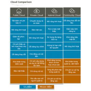 3.2.4. Community Cloud