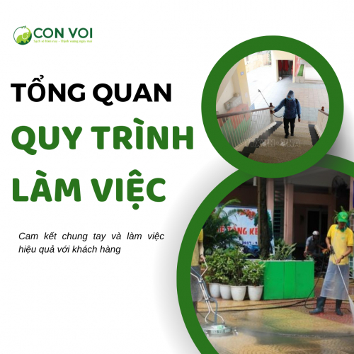 Quy Trình Làm Việc