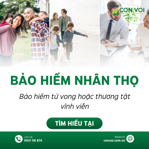 Giải Pháp Bảo Hiểm Nhân Thọ Shinhan