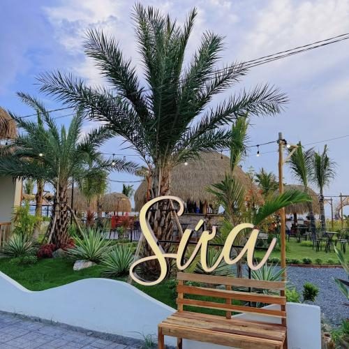 Sứa – Điểm Đến Ẩm Thực & Nghỉ Dưỡng Ven Biển Đầy Trải Nghiệm