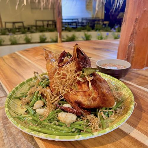 Sứa – Điểm Đến Ẩm Thực & Nghỉ Dưỡng Ven Biển Đầy Trải Nghiệm