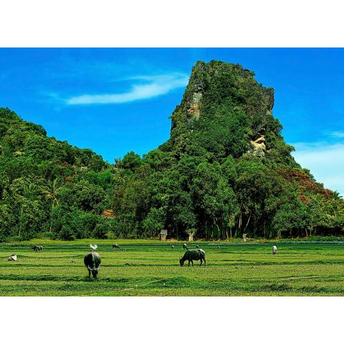 Thạch Động Thôn Vân